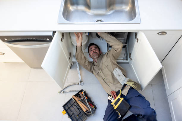Best Plumbing Services Near Me  in Ridgemark, CA